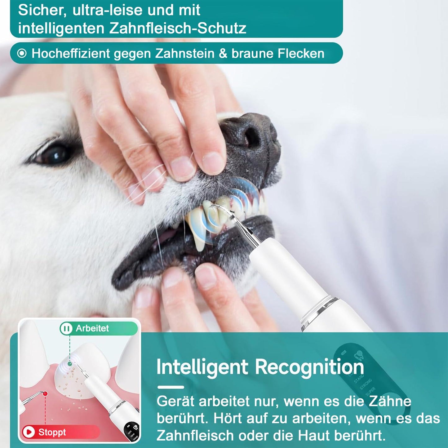 Ultraschall Zahn-Reiniger für Haustiere