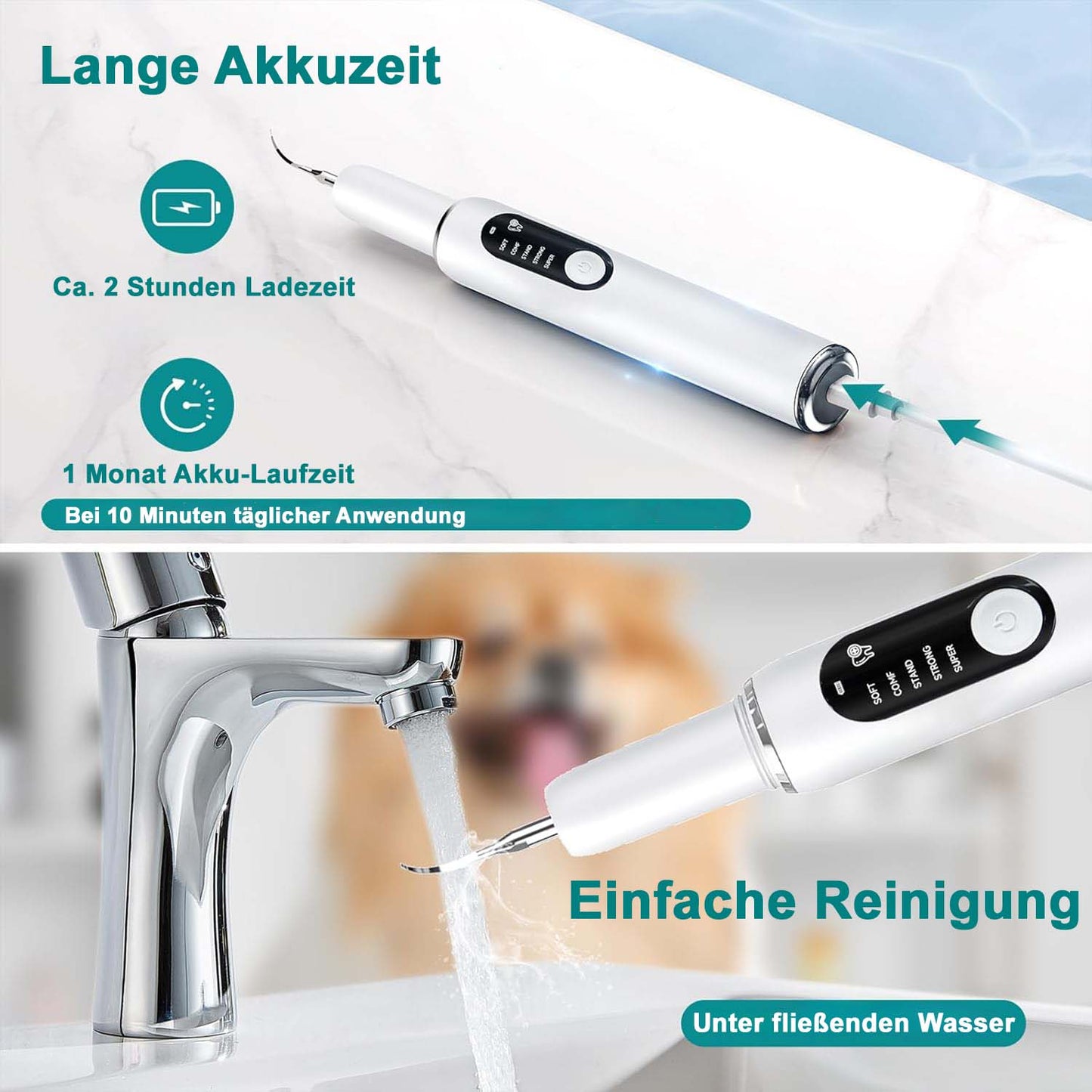 Ultraschall Zahn-Reiniger für Haustiere